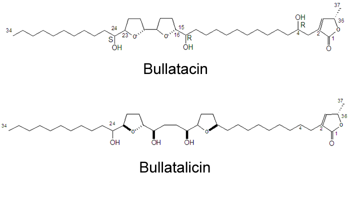 bullatalicin